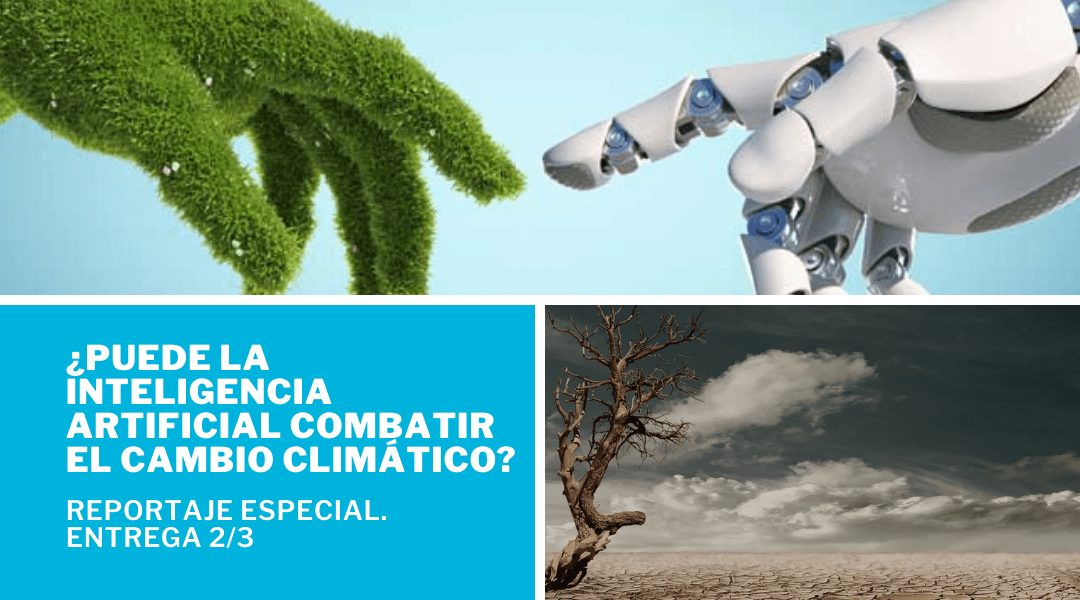 Aplicando la Inteligencia Artificial para luchar contra el Cambio Climático: las compensaciones de carbono