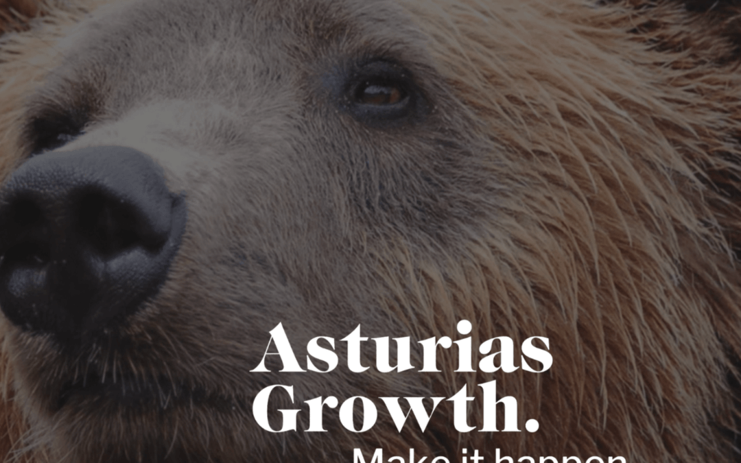 LUAfund lo está haciendo posible: se acerca el nacimiento de ¡Asturias Growth!